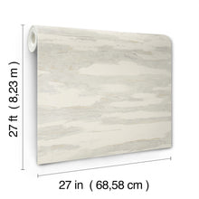 Artistic Tides Desert Natural Discovery Wallpaper by York Wallcoverings