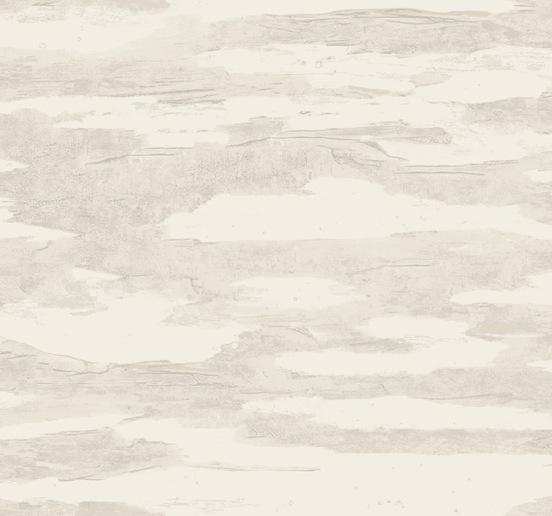 Artistic Tides Coral Natural Discovery Wallpaper by York Wallcoverings
