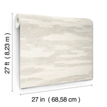 Artistic Tides Coral Natural Discovery Wallpaper by York Wallcoverings