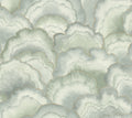 Candice Olson Abalone Fans Seaglass Natural Discovery Wallpaper by York Wallcoverings