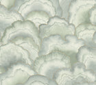 Candice Olson Abalone Fans Seaglass Natural Discovery Wallpaper by York Wallcoverings