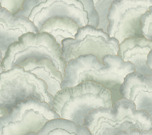 Candice Olson Abalone Fans Seaglass Natural Discovery Wallpaper by York Wallcoverings