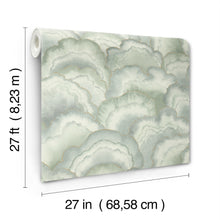 Candice Olson Abalone Fans Seaglass Natural Discovery Wallpaper by York Wallcoverings