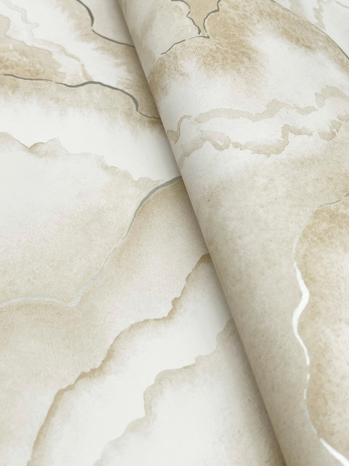 Candice Olson Abalone Fans Sand Natural Discovery Wallpaper by York Wallcoverings