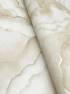 Candice Olson Abalone Fans Sand Natural Discovery Wallpaper by York Wallcoverings