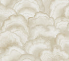 Candice Olson Abalone Fans Sand Natural Discovery Wallpaper by York Wallcoverings