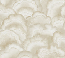 Candice Olson Abalone Fans Sand Natural Discovery Wallpaper by York Wallcoverings