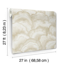 Candice Olson Abalone Fans Sand Natural Discovery Wallpaper by York Wallcoverings