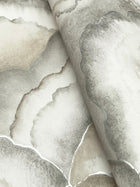Candice Olson Abalone Fans Smokey Natural Discovery Wallpaper by York Wallcoverings