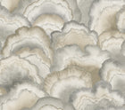 Candice Olson Abalone Fans Smokey Natural Discovery Wallpaper by York Wallcoverings