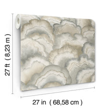 Candice Olson Abalone Fans Smokey Natural Discovery Wallpaper by York Wallcoverings