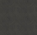 Candice Olson Fine Line Geometric Black Natural Discovery Wallpaper by York Wallcoverings