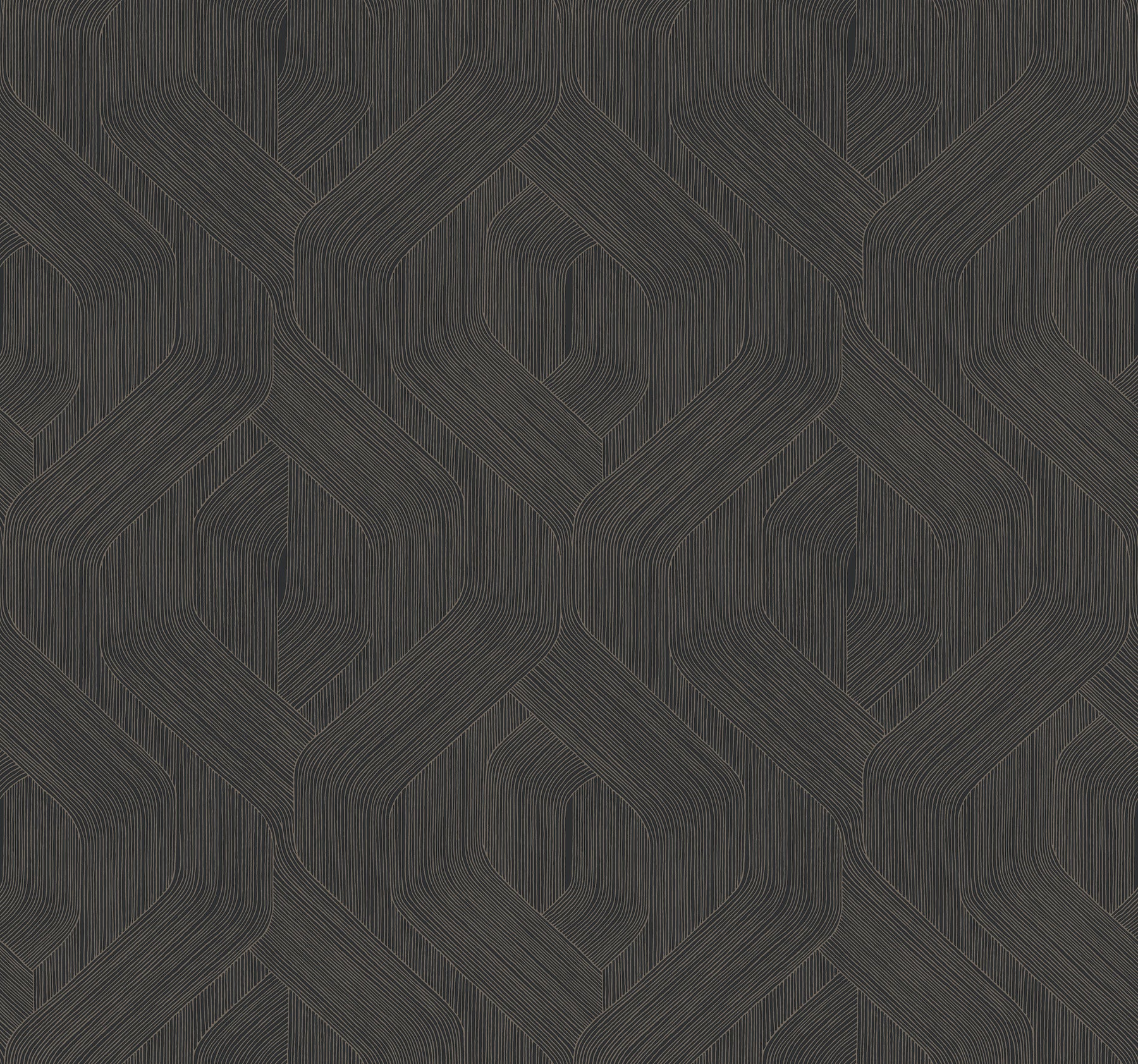 Candice Olson Fine Line Geometric Black Natural Discovery Wallpaper by York Wallcoverings