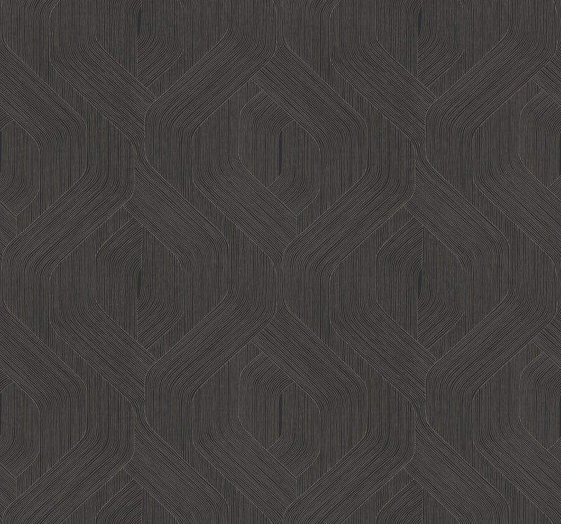 Candice Olson Fine Line Geometric Black Natural Discovery Wallpaper by York Wallcoverings