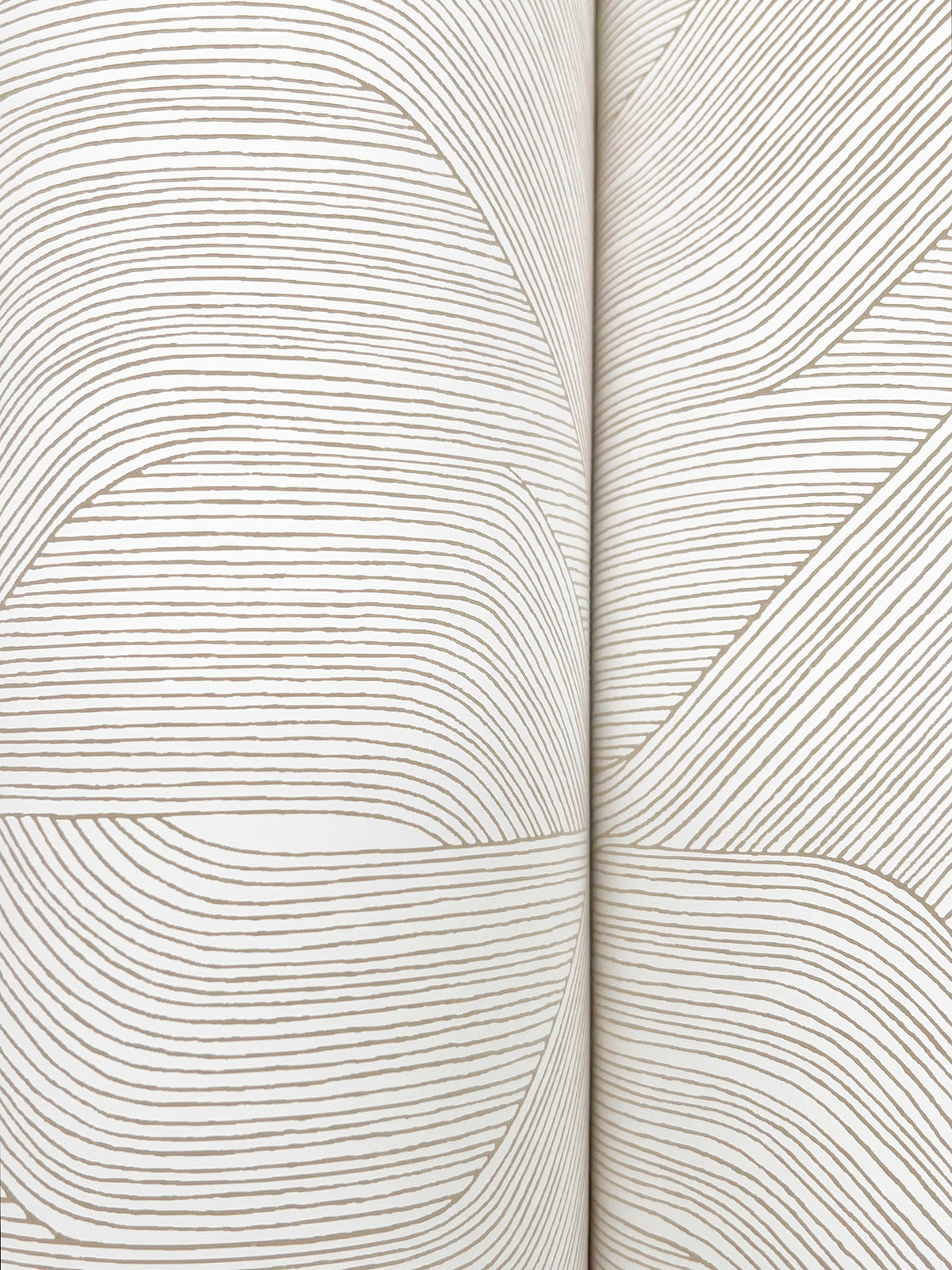 Candice Olson Fine Line Geometric Taupe on White Natural Discovery Wallpaper by York Wallcoverings