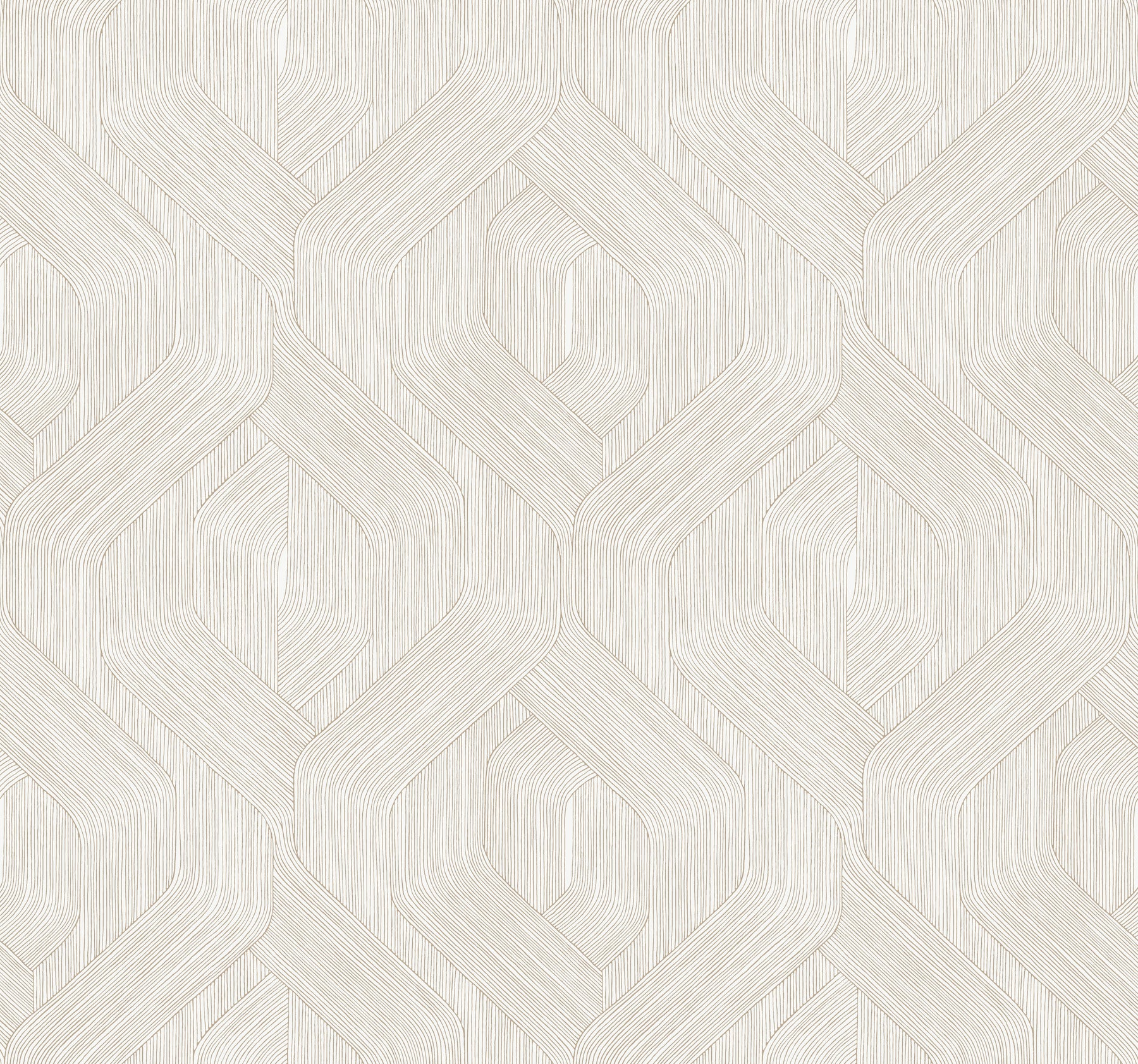 Candice Olson Fine Line Geometric Taupe on White Natural Discovery Wallpaper by York Wallcoverings