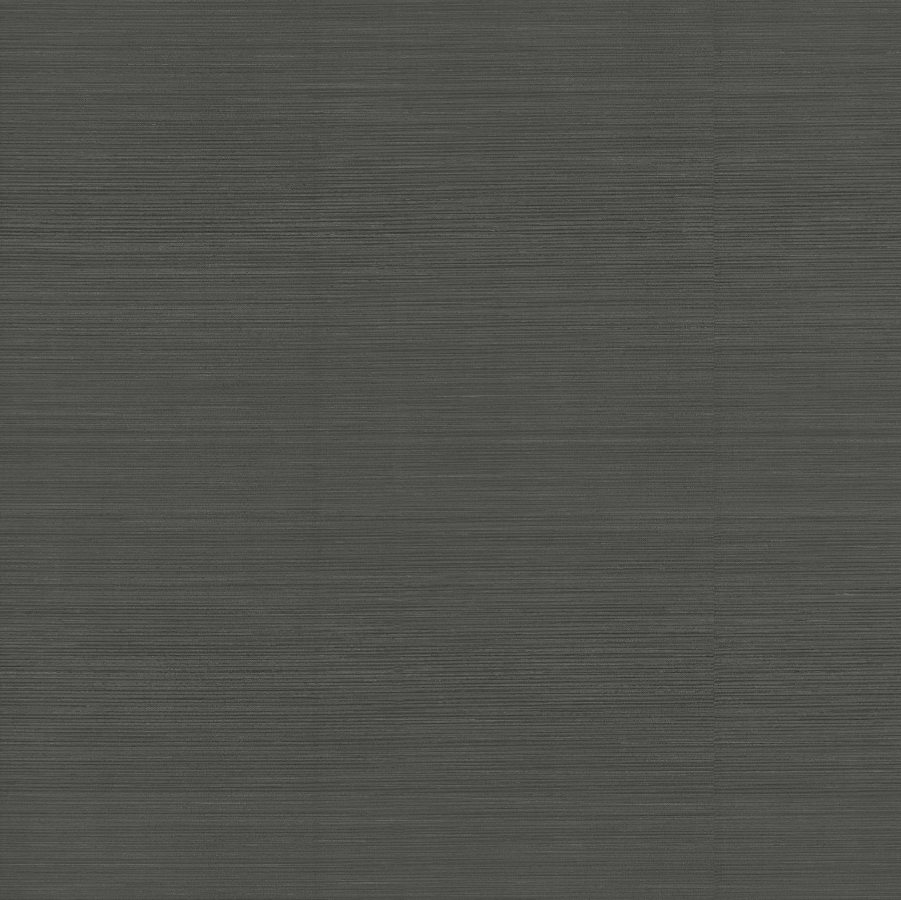 Candice Olson Quiet Vista Ebony Natural Discovery Wallpaper by York Wallcoverings
