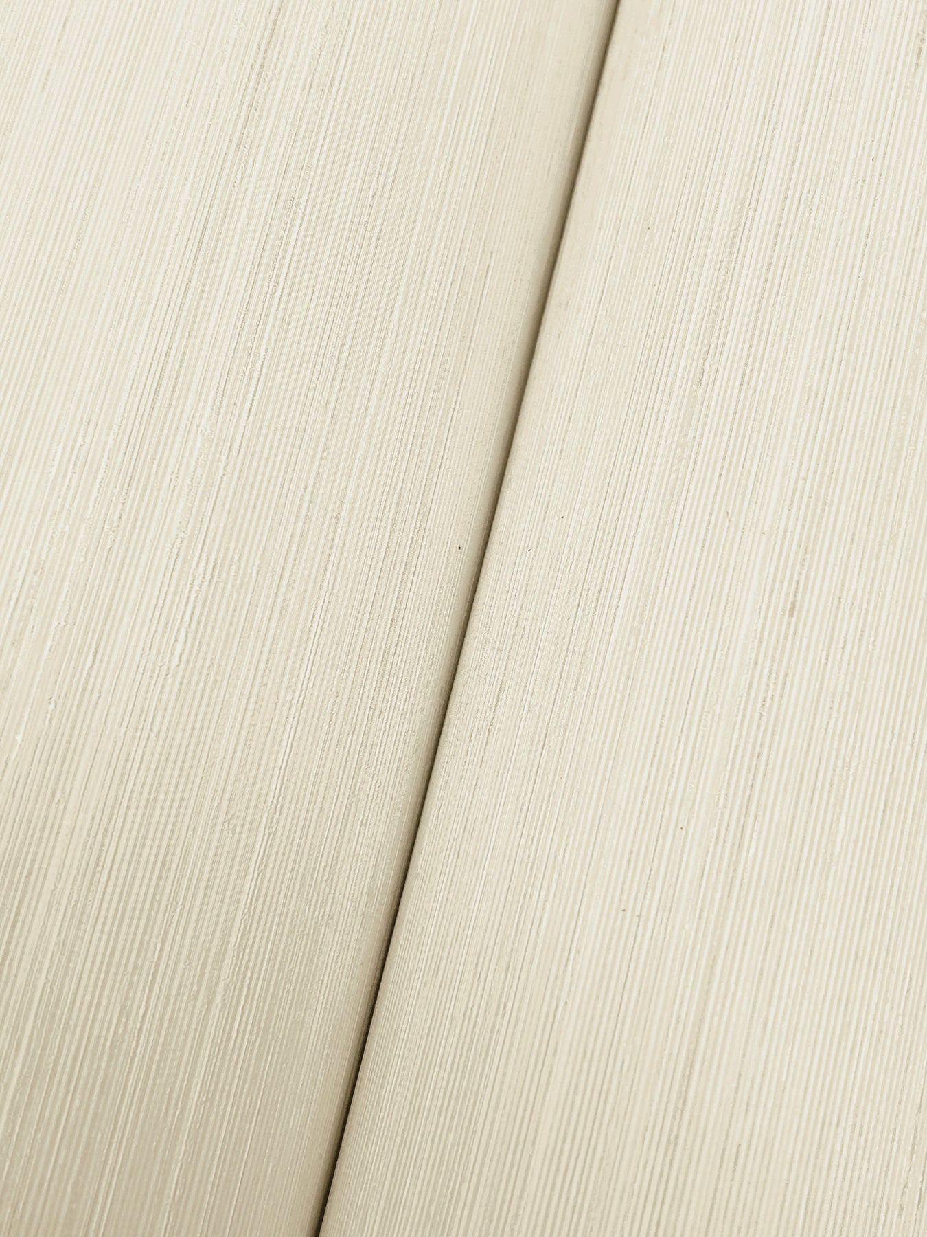 Candice Olson Quiet Vista Shell Natural Discovery Wallpaper by York Wallcoverings