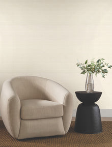 Candice Olson Quiet Vista Sandstone Natural Discovery Wallpaper by York Wallcoverings