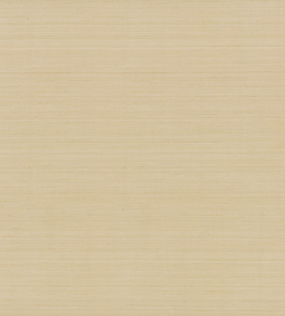 Candice Olson Quiet Vista Desert Natural Discovery Wallpaper by York Wallcoverings