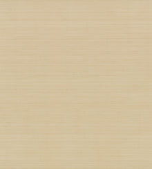 Candice Olson Quiet Vista Desert Natural Discovery Wallpaper by York Wallcoverings