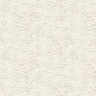 IKA50114W Contour Oyster Wallpaper by Ohpopsi