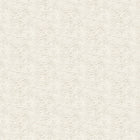 IKA50114W Contour Oyster Wallpaper by Ohpopsi