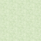 IKA50116W Contour Pistachio Wallpaper by Ohpopsi