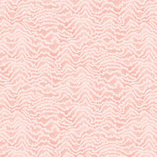 IKA50117W Contour Blush Wallpaper by Ohpopsi