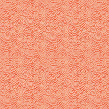IKA50122W Contour Pumpkin Wallpaper by Ohpopsi