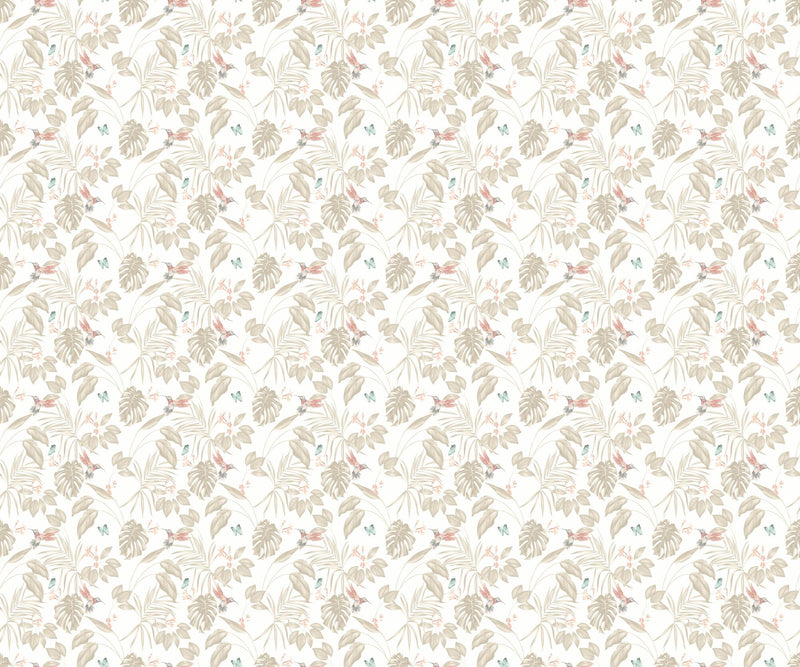 LBK50104W Hummingbird Oyster Wallpaper by Ohpopsi
