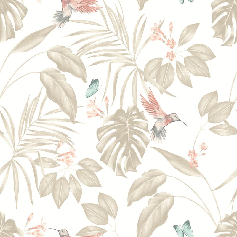LBK50104W Hummingbird Oyster Wallpaper by Ohpopsi