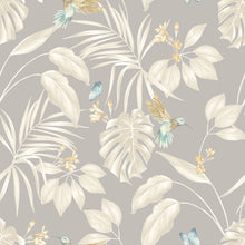 LBK50112W Hummingbird Flint Wallpaper by Ohpopsi
