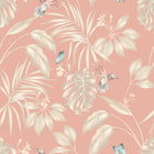 LBK50136W Hummingbird Rosewood Wallpaper by Ohpopsi
