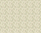 LBK50138W Hummingbird Sage Wallpaper by Ohpopsi
