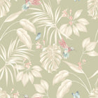 LBK50138W Hummingbird Sage Wallpaper by Ohpopsi