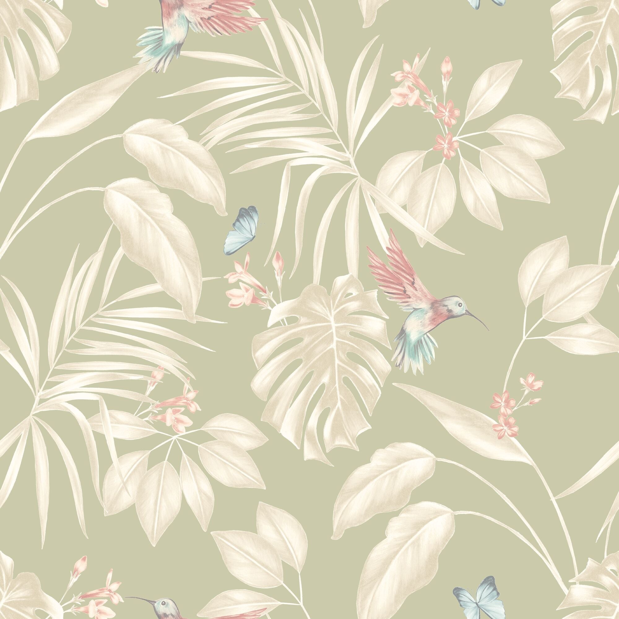 LBK50138W Hummingbird Sage Wallpaper by Ohpopsi