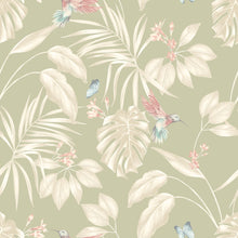 LBK50138W Hummingbird Sage Wallpaper by Ohpopsi