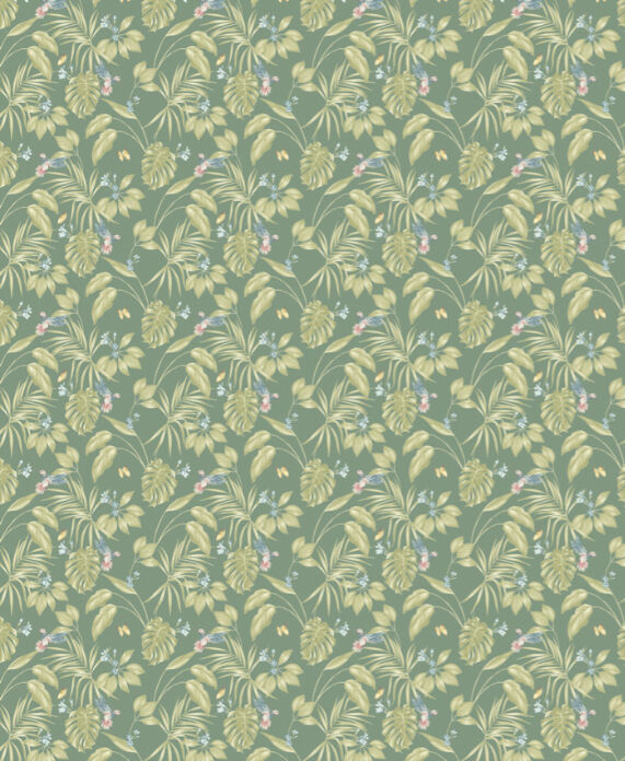 LBK50147W Hummingbird Forest Wallpaper by Ohpopsi