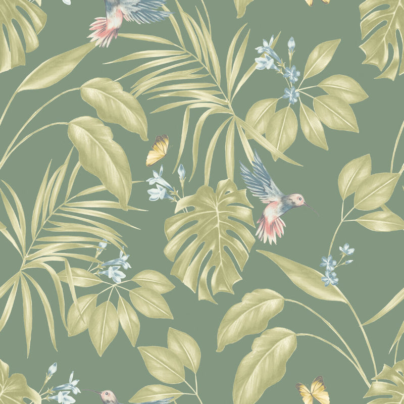 LBK50147W Hummingbird Forest Wallpaper by Ohpopsi