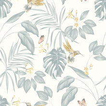LBK50160W Hummingbird Wedgewood Wallpaper by Ohpopsi