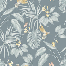 LBK50163W Hummingbird Petrol Wallpaper by Ohpopsi