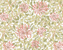 MUR380L Honeysuckle Soft Coral Mural Large by Origin Murals