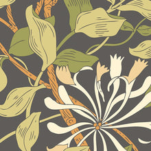 MUR384L Honeysuckle Black And Olive Green Mural Large by Origin Murals