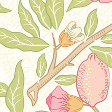 MUR391L Fruit And Foliage Rose And Apple Green Mural Large by Origin Murals