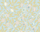 Fruit And Foliage Wedgewood Blue Mural (Large) by Origin Murals