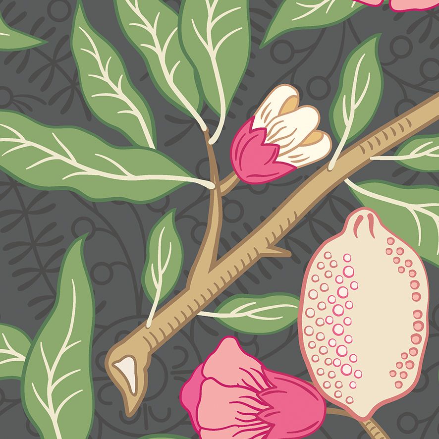 MUR394L Fruit And Foliage Black And Rose Pink Mural Large by Origin Murals