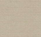 RIC008 Mori Elm Wallpaper by Masureel
