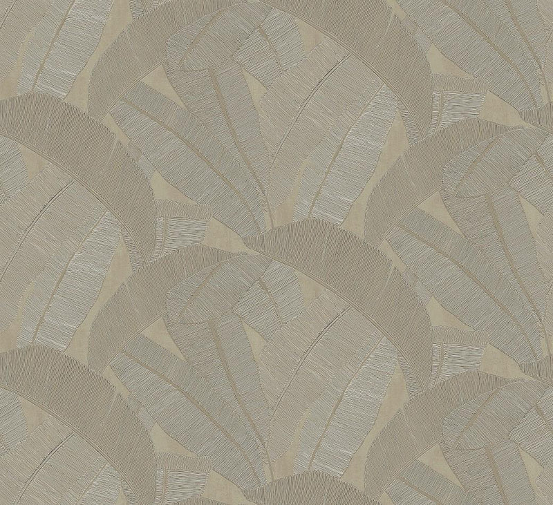 RIC206 Banyan Elm Wallpaper by Masureel