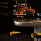 Turo Dieter Vander Velpen Velvets Fabric by Zinc Textile
